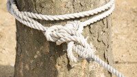 Verknotetes Seil an einem Baum als Symbol für Konflikte und Verbindungen